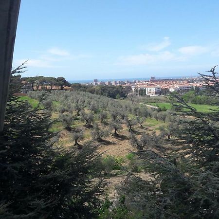 Apartament Dolci Ricordi Livorno Zewnętrze zdjęcie
