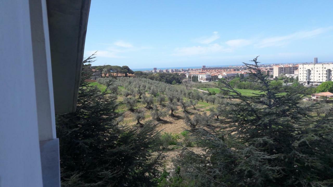 Apartament Dolci Ricordi Livorno Zewnętrze zdjęcie